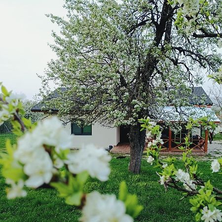 Къща За Гости Софаш Stoevtsi Bagian luar foto